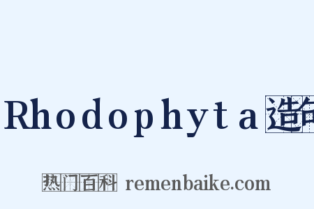Rhodophyta造句是什么意思的图片